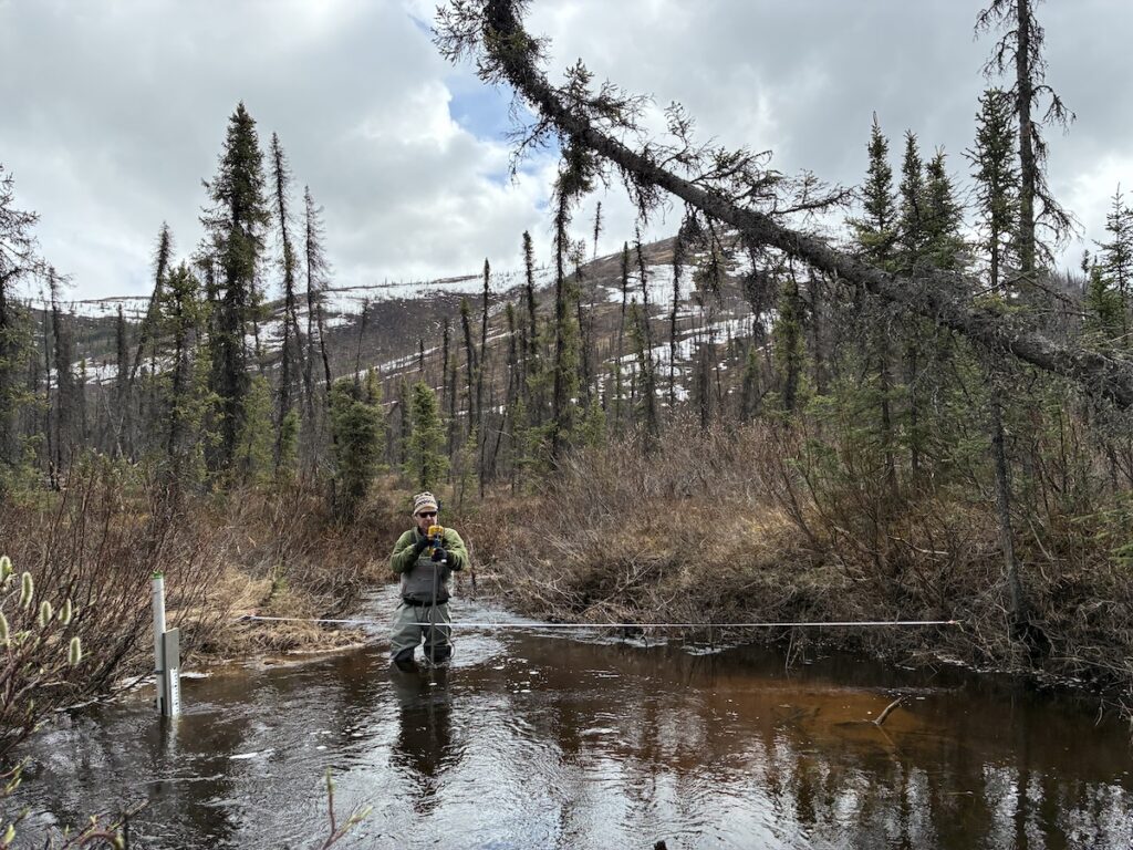 chris neill stands in a stream wearing waders using a scientific device on a long pole in the water. the stream is surrounded by evergreen trees, with snowy mountains visible in the background